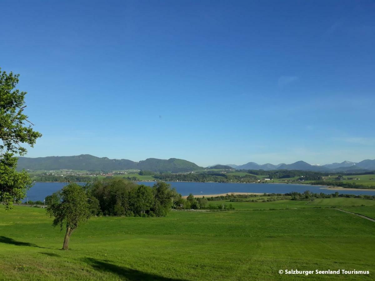 Pp-Camping Wallersee Зекирхен-ам-Валлерзе Экстерьер фото