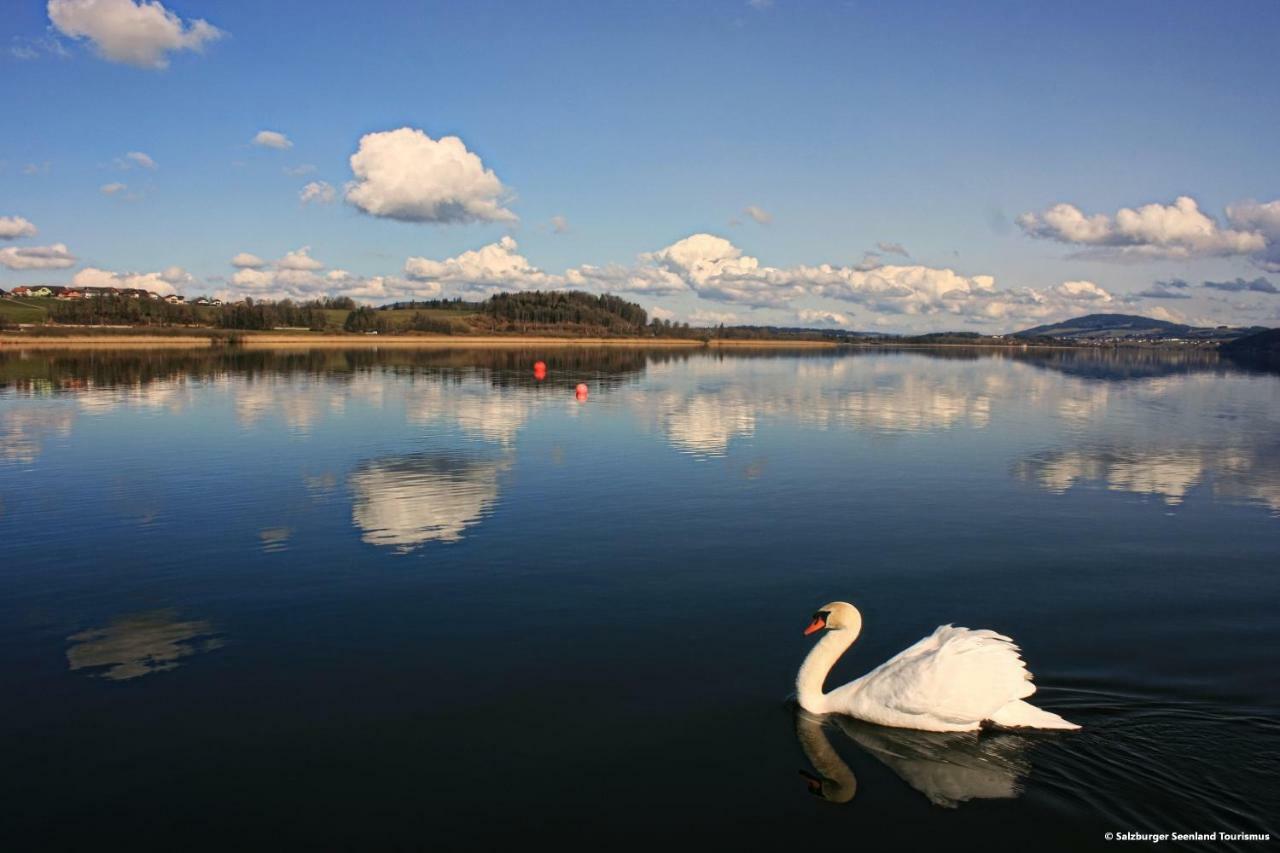 Pp-Camping Wallersee Зекирхен-ам-Валлерзе Экстерьер фото